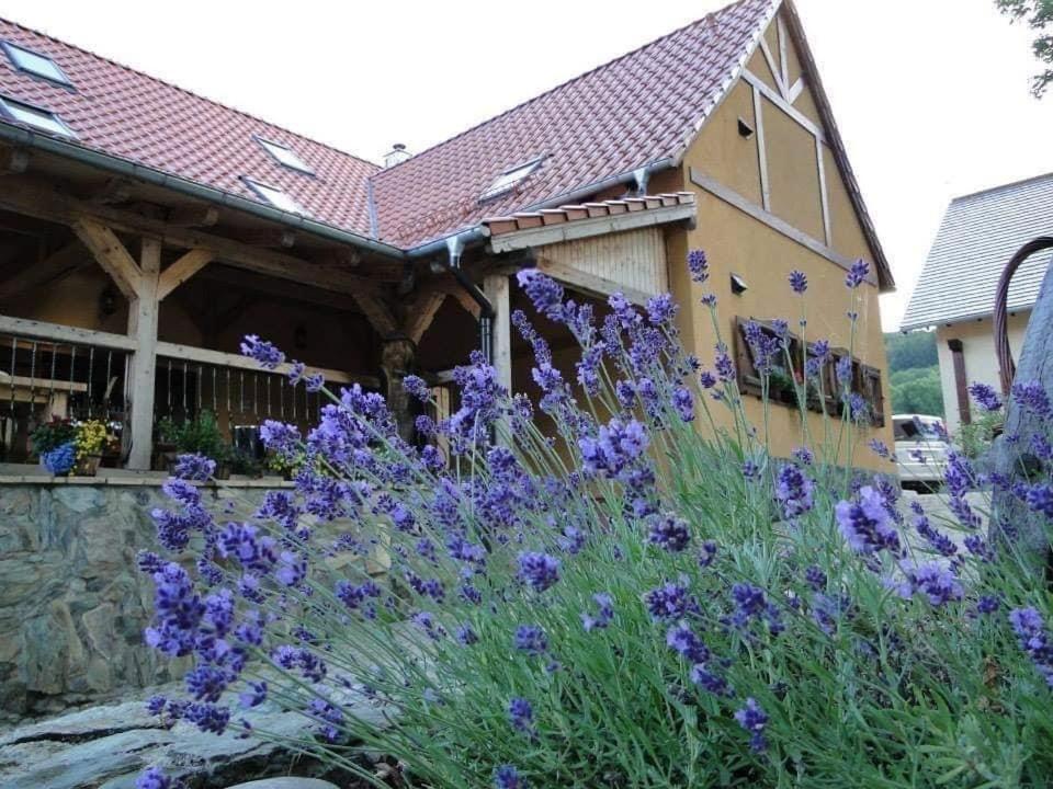 Agroturystyka Agro-Podkowka Marciszow Exterior foto